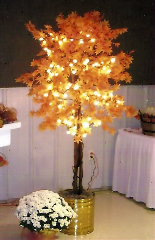How about ficus trees or fall trees with glistening white lights